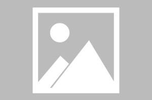 必赢体育官方网站-莱因克尔公司估值超1亿英镑，网飞与投资公司收购其播客帝国股份